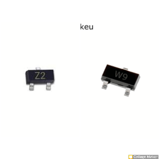 Z2