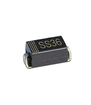 SS36