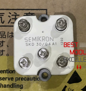 SKD30/04A1